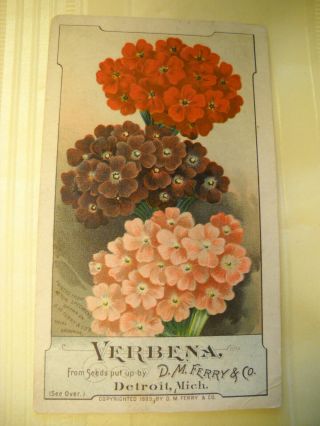D.  M.  Ferry Seed Co 1889 Victorian Trade Card Chromolitho Verbena Detroit Mich