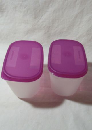 Tupperware Freezer Mates Set Of 2 Fuchsia Seals 2087 1.  25 Cups