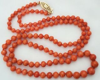 25 " Victorian Salmon Natural Mediterranean Coral Bead Necklace - Gold Filled Clasp