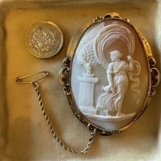 Large Shell Cameo Gold Coloured Metal Frame