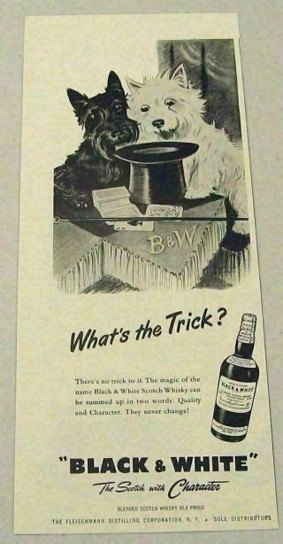 1955 Print Ad Black & White Scotch Whiskey 2 Dogs Look At Magicians Hat & Cards