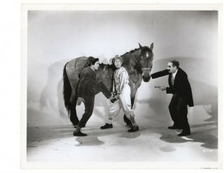A Day At The Races (1936) Groucho - Harpo - Chico Marx 1962 Release Photo B589