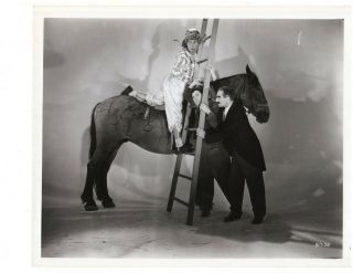 A Day At The Races (1936) Groucho - Harpo - Chico Marx 1962 Release Photo B591