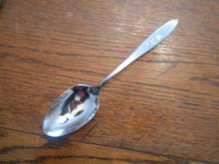 Oneida Community Stainless My Rose Pattern Slotted Table Serving Spoon 3271