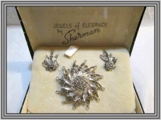 Sherman Charcoal & Clear - Boxed - Floral Capped Pinwheel Motif Brooch Set Nr