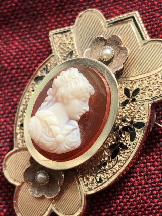 Antique Gold Plated Cameo Pin With Seed Pearl Flowers,  Art Nouveau Enamel Detail