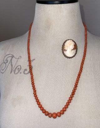 Antique Victorian Gold Filled Gf Natural Coral Beaded Graduated Necklace & Cameo