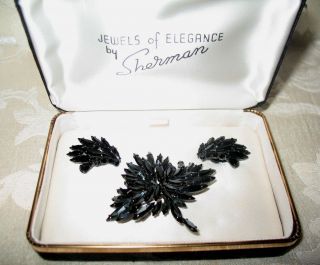 Sherman Jewels Of Elegance - Signed Brooch & Matching Earrings In Black Japaned
