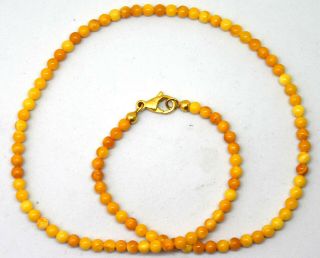 Small Natural Baltic Butterscotch Amber Round Beads Necklace 16.  5 " Long
