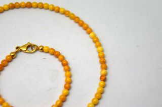 SMALL Natural Baltic Butterscotch Amber Round Beads Necklace 16.  5 