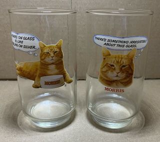 Morris The Cat Promo Drinking Glasses Set Of 2