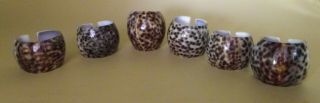 Vintage Real Tiger Cowrie Sea Shell Napkin Rings Set Of 6 Leopard Spots