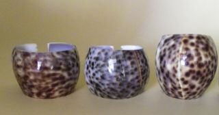 Vintage Real Tiger Cowrie Sea Shell Napkin Rings Set of 6 Leopard Spots 2