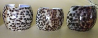 Vintage Real Tiger Cowrie Sea Shell Napkin Rings Set of 6 Leopard Spots 3
