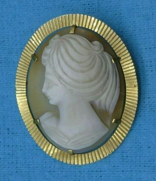 9ct Gold Cameo Brooch With 6 Claw And Fan Surround