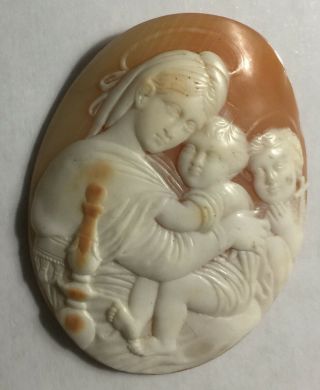 19th Century Antique Unmounted Italian Carved Shell Cameo Stunning
