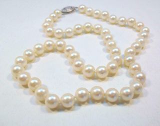 Fine Vtg Estate Pearl & 14k White Gold Clasp Necklace - 7 Mm Pearls