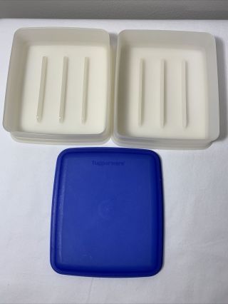 Tupperware Hot Dog Keeper Dog House 2 Tray Blue Lid Lunch Meat 2