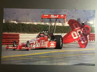 1998 Kenny Bernstein’s Budweiser Top Fuel Nhra Print Picture Poster - Rare