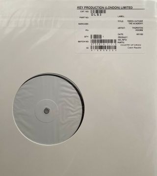 Thurston Moore Sonic Youth - Rare Test Press Vinyl Trees Outside The Academy