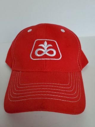 Red Pioneer Seed Corn Cap Hat