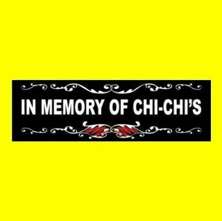 " In Memory Of Chi - Chi 