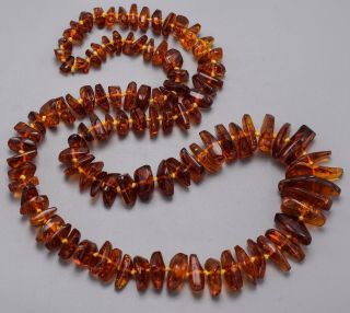 Vintage Baltic Amber Long Graduated Beaded Chip Strand Necklace 70.  6 Grams 30 "