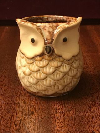 Pottery Hand Painted Owl Toothpick Holder Brown