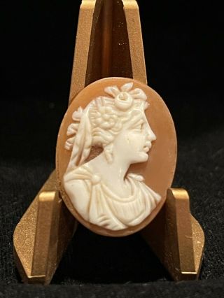 Antique Hand Carved Shell Of Roman Goddess Flora Gorgeous Cameo