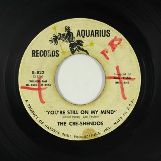 Northern Soul 45 - Cre - Shendos - You 