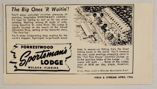 1946 Print Ad Forrestwood Sportsman 