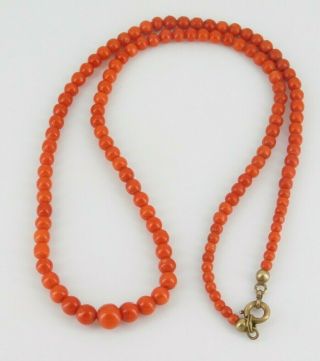 Vintage / Antique Victorian Beaded Coral Necklace 19 1/8 " Long