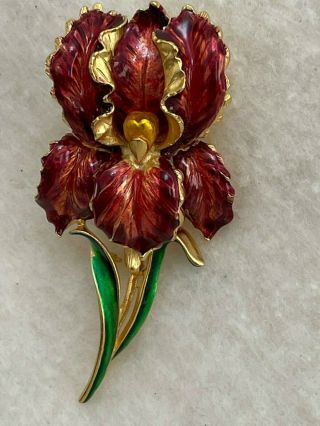 Iris enamal brooch,  red yellow and gold tones hand painted,  looks realistic 2