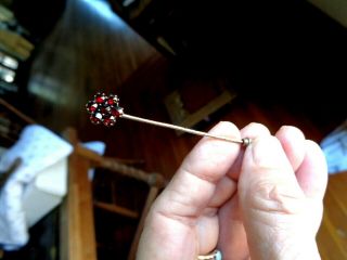 Antique Victorian Bohemian Garnet Flower Cluster Stick Pin Stickpin