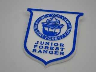 Smokey The Bear Junior Forest Ranger Badge Vintage Lapel Pin
