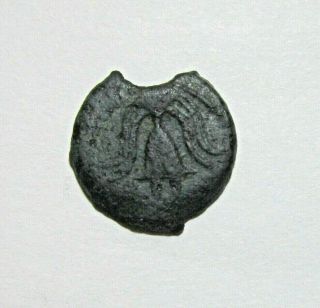 Judaea,  Herodian.  Bronze Prutah,  Herod Ii Archelaus 4 Bc - 6 Ad.  Grape/helmet.