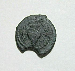 JUDAEA,  HERODIAN.  BRONZE PRUTAH,  HEROD II ARCHELAUS 4 BC - 6 AD.  GRAPE/HELMET. 2