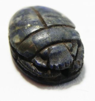 Zurqieh - As15983 - Ancient Egypt.  Kingdom Lapis Lazuli Scarab.  1400 - 1200 B.  C