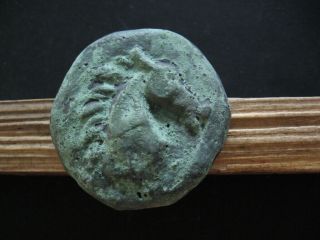 Aes Grave Horse & Bull Heads Ancient Roman Bronze Ae Semis 3 Ct.  B.  C.  143 Gr.