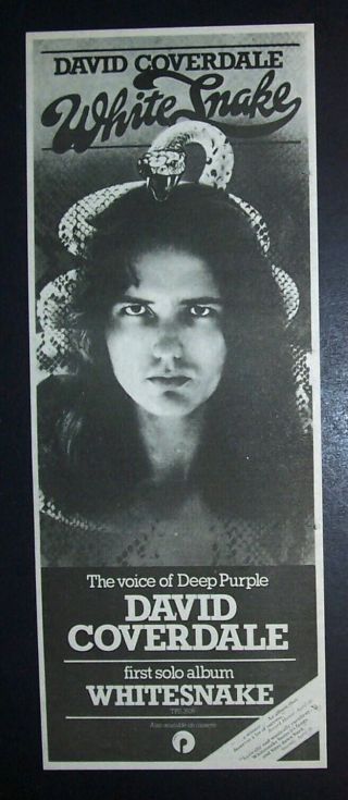 David Coverdale Whitesnake Debut Album 1977 Poster Type Ad,  Promo Advert