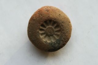 Ancient Egyptian Rosette Mould Amulet Late Dynastic 30th Dyn 380 Bc
