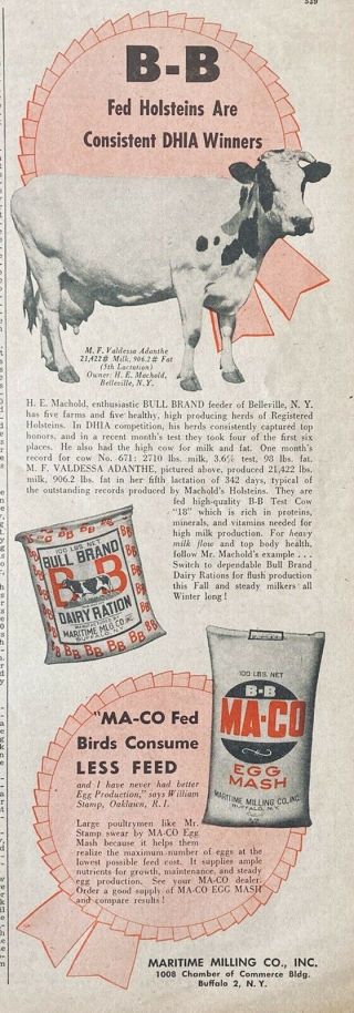 1951 Ad.  (xg22) Maritime Milling Co.  Buffalo,  Ny.  Bull Brand Dairy Ration