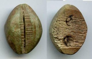 Very Rare Type Ancient And Authentic Large Cowrie - Coin Made Of Stone With One H