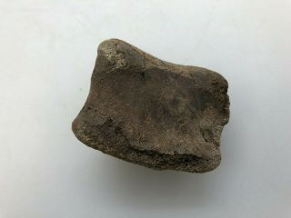 Ancient Hadrosaur Toe Bone - 67/66 MYO - RRHTB50 3