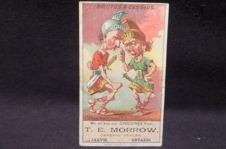 T E Morrow General Grocer/dealer Jarvis On Victorian Trade Card Brutus & Cassius