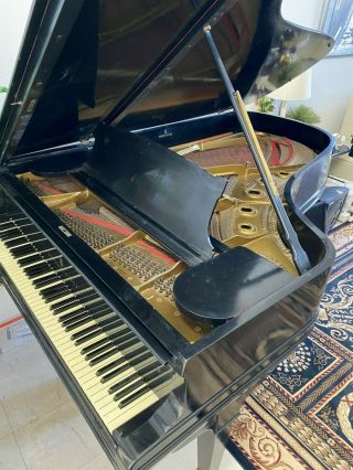1897 Vintage Steinway Grand Piano,  1970s Restoration With Soundboard