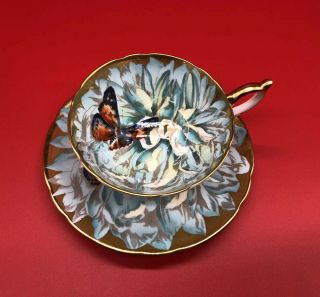 Aynsley Vintage Bone China Chrysanthemum Butterfly Gold Teacup & Saucer Set
