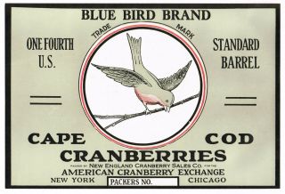 Vintage 1930s Cranberry Crate Label York Cape Cod Chicago Blue Bird 1/4 Bbl