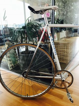 Colnago Master Olimpic vintage Pista/Track bike 3