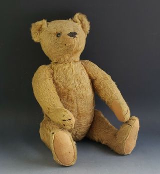 Antique Steiff 16 " Mohair Teddy Bear